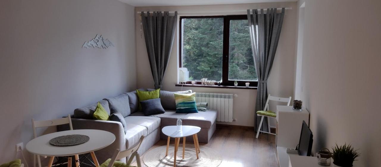 Pine Tree Apartment / Borovets Gardens Extérieur photo