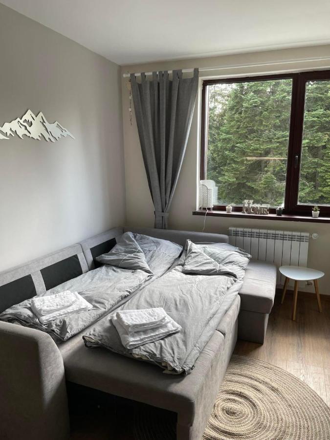 Pine Tree Apartment / Borovets Gardens Extérieur photo